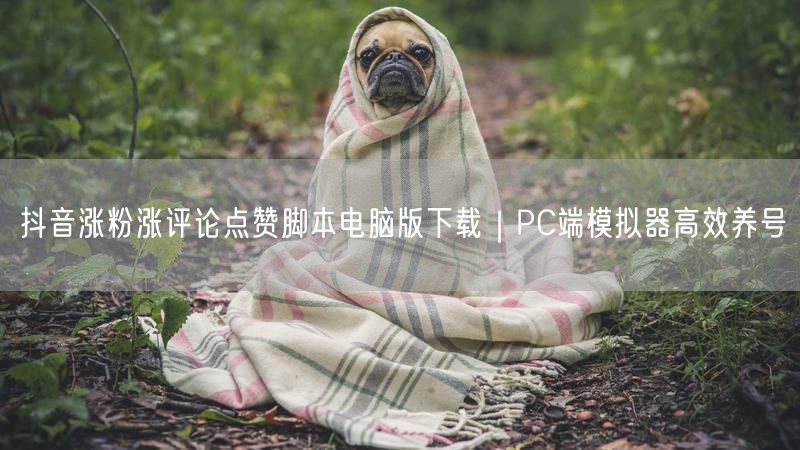 抖音涨粉涨评论点赞脚本电脑版下载｜PC端模拟器高效养号