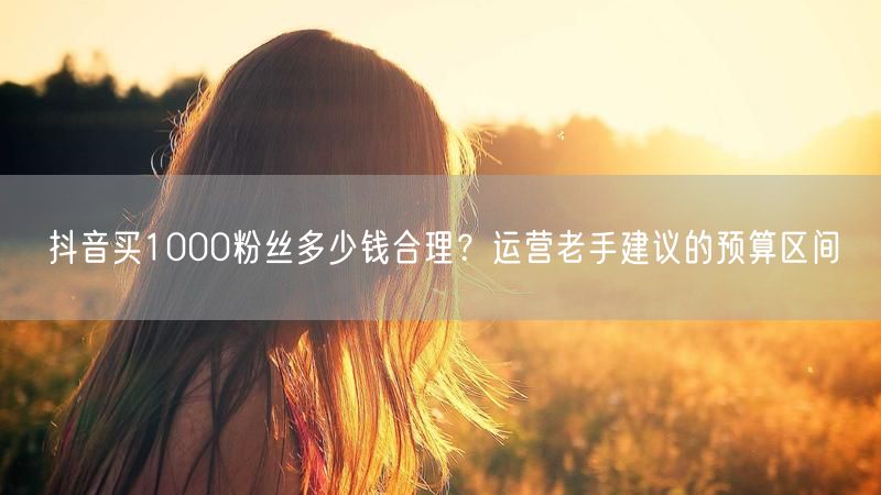 抖音买1000粉丝多少钱合理？运营老手建议的预算区间