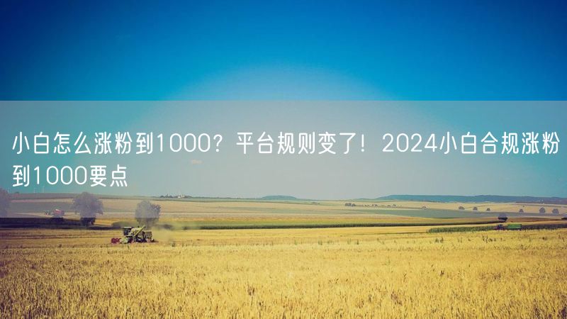 小白怎么涨粉到1000？平台规则变了！2024小白合规涨粉到1000要点