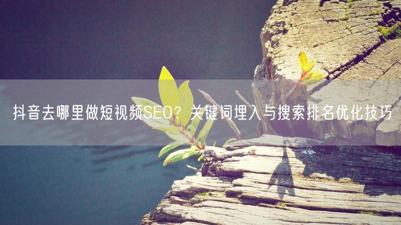 抖音去哪里做短视频SEO？关键词埋入与搜索排名优化技巧