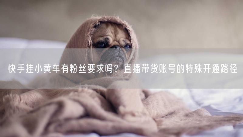 快手挂小黄车有粉丝要求吗？直播带货账号的特殊开通路径