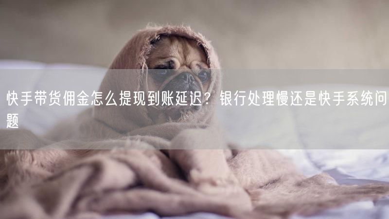 快手带货佣金怎么提现到账延迟？银行处理慢还是快手系统问题