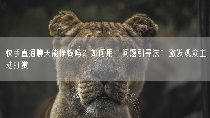快手直播聊天能挣钱吗？如何用“问题引导法”激发观众主动打赏
