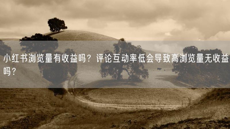 小红书浏览量有收益吗？评论互动率低会导致高浏览量无收益吗？