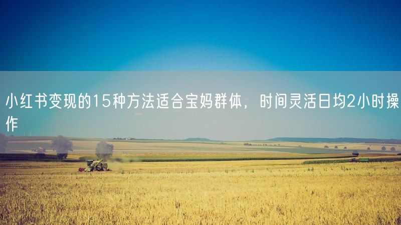 小红书变现的15种方法适合宝妈群体，时间灵活日均2小时操作