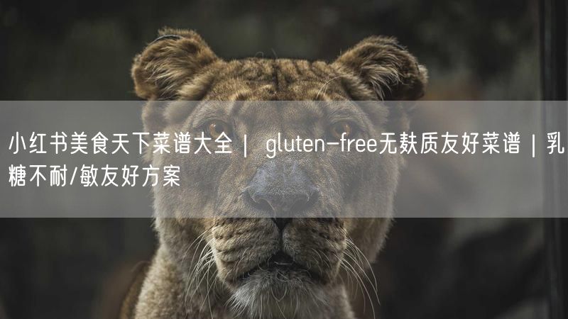 小红书美食天下菜谱大全｜ gluten-free无麸质友好菜谱｜乳糖不耐/敏友好