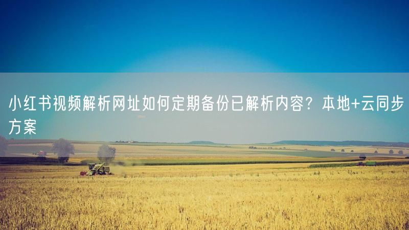 小红书视频解析网址如何定期备份已解析内容？本地+云同步方案