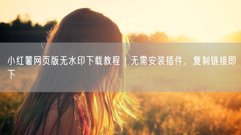 小红薯网页版无水印下载教程｜无需安装插件，复制链接即下