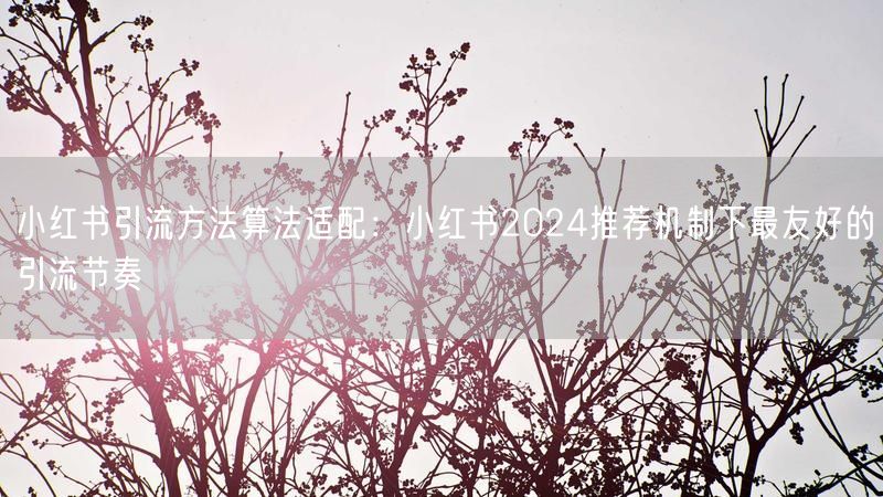 小红书引流方法算法适配：小红书2024推荐机制下最友好的引流节奏