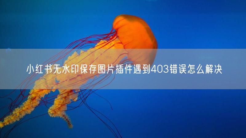 小红书无水印保存图片插件遇到403错误怎么解决