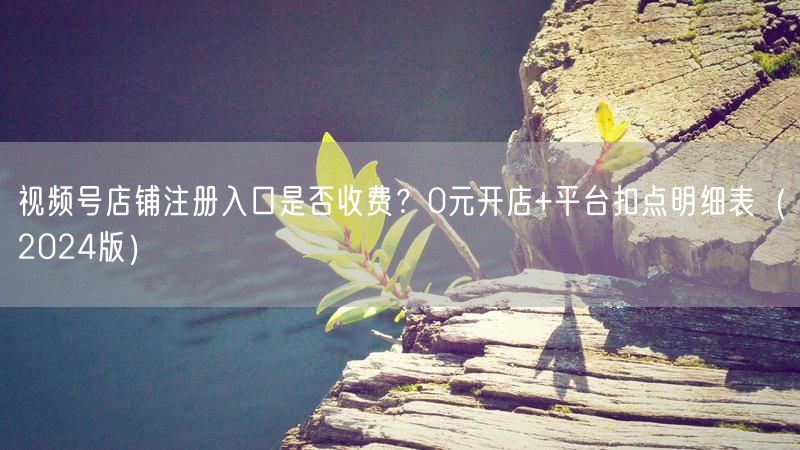 视频号店铺注册入口是否收费？0元开店+平台扣点明细表（2024版）