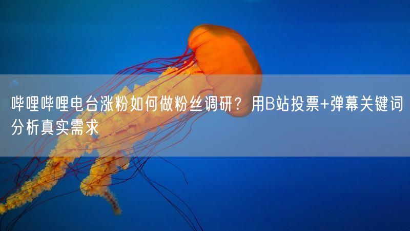 哔哩哔哩电台涨粉如何做粉丝调研？用B站投票+弹幕关键词分析真实需求