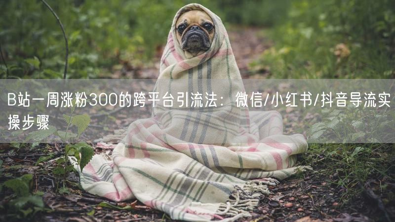 B站一周涨粉300的跨平台引流法：微信/小红书/抖音导流实操步骤