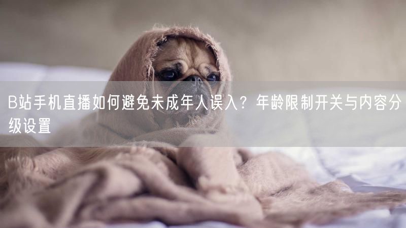 B站手机直播如何避免未成年人误入？年龄限制开关与内容分级设置