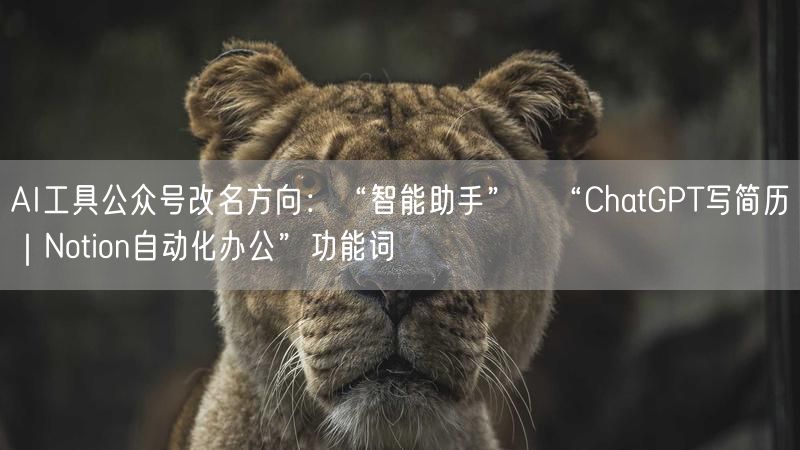 AI工具公众号改名方向：“智能助手”→“ChatGPT写简历｜Notion自动化