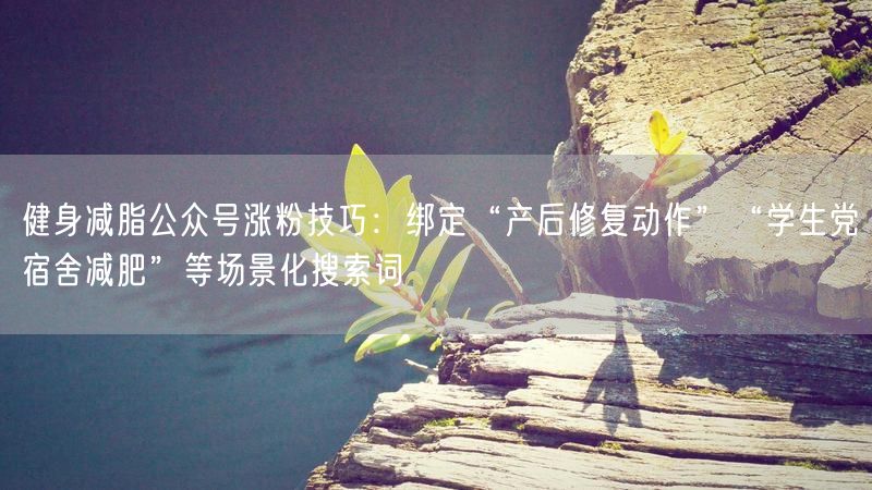 健身减脂公众号涨粉技巧：绑定“产后修复动作”“学生党宿舍减肥”等场景化搜索词