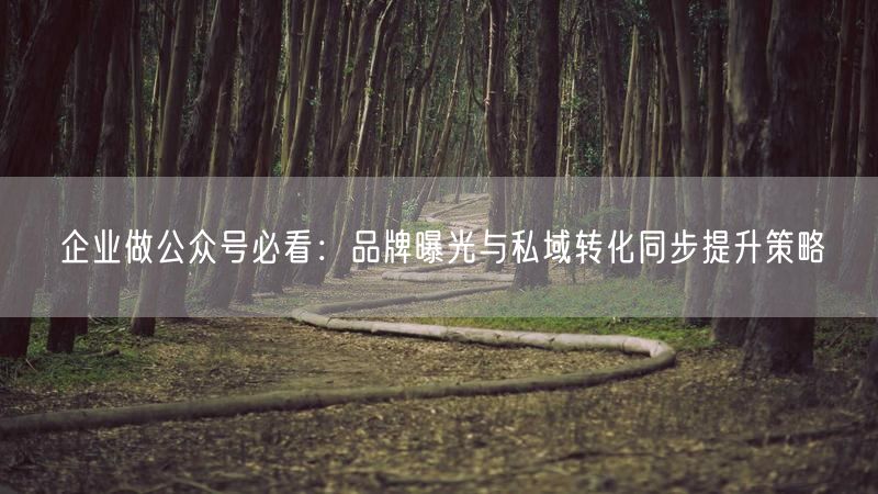企业做公众号必看：品牌曝光与私域转化同步提升策略