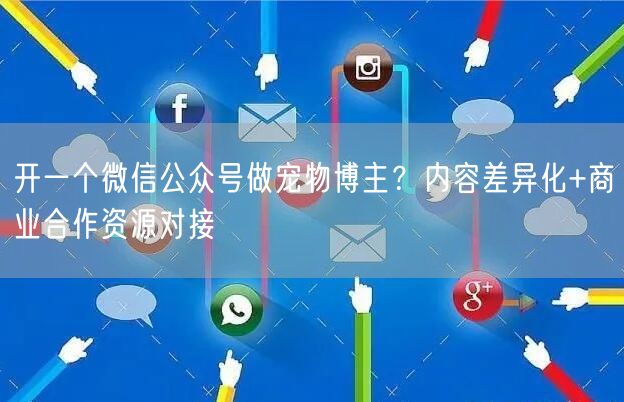 开一个微信公众号做宠物博主？内容差异化+商业合作资源对接