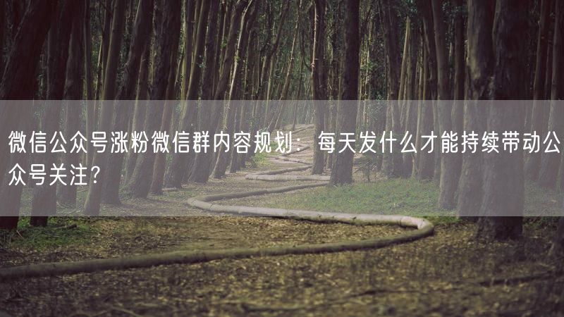 微信公众号涨粉微信群内容规划：每天发什么才能持续带动公众号关注？